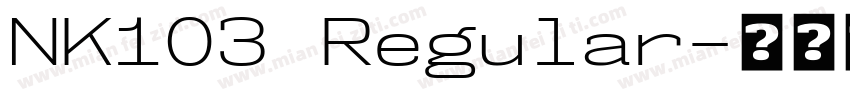 NK103 Regular字体转换